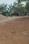Sarkanda Main Image 1