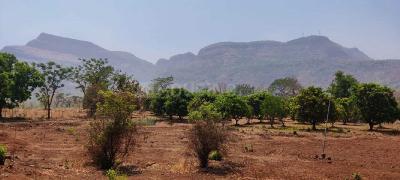 Image of 1600 Sq.ft Residential Plot / Land for sale in Chikani, Alwar for Rs. 9500000