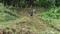 257 gaj plot Ladpur raipur road Plot View 2