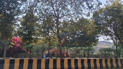 Image of 240 Sq.ft Residential Plot / Land for sale in Sector 44, Noida for Rs. 98400000