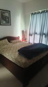 Bedroom Image of 1227 Sq.ft 3 BHK Apartment / Flat for rent in Kalpataru Immensa, Thane West Thane for Rs. 60000