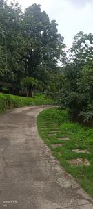 Image of 2088 Sq.ft Residential Plot / Land for sale in Karjat, Thane for Rs. 3132000