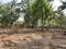 Kallumkal Plot View 2