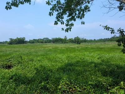 Residential Plot