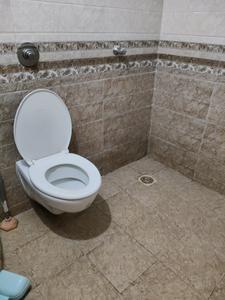 Common Bathroom Image of 998 Sq.ft 2 BHK Apartment / Flat for rent in Vikhroli East Mumbai for Rs. 42000