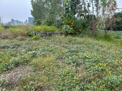 Image of 1080 Sq.ft Residential Plot / Land for sale in Ramnagar, Nainital for Rs. 1350000
