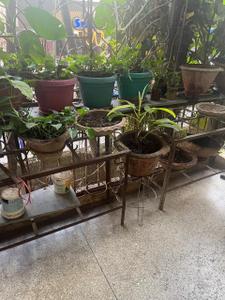 Balcony Image of 1200 Sq.ft 3 BHK Apartment / Flat for sale in Doranda Ranchi for Rs. 8000000