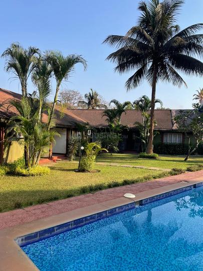 siolim apartment Main Image 1