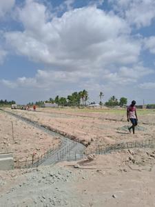 Image of 675 Sq.ft Residential Plot / Land for sale in Pachapalayam, Coimbatore for Rs. 1042500