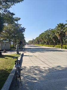 Image of 1500 Sq.ft Residential Plot / Land for sale in Ruchi Saatvik Vihar, Manglia, Indore for Rs. 9500000