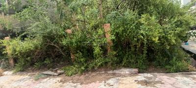 Image of 1500 Sq.ft Residential Plot / Land for sale in M P Colony, Bikaner for Rs. 7000000