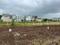 Wagholi Plot View 2