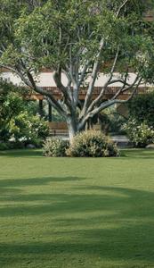 Image of 2235 Sq.ft 2 BHK Villa for sale in Canacona, Goa for Rs. 36500000