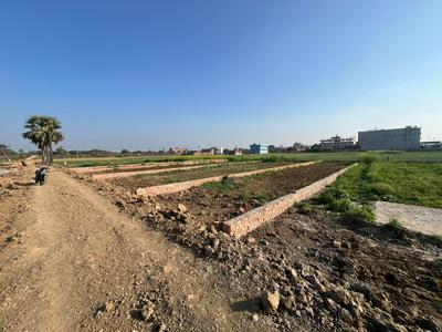 Pase 3 Plot View 3