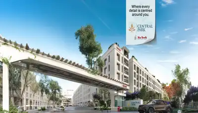 3 BHK Flat