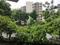 Lodha Casa Rio Main Image 1