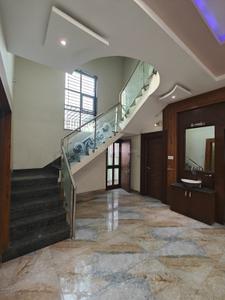Kitchen Image of 1800 Sq.ft 3 BHK Apartment / Flat for rent in Palasia Indore for Rs. 33000