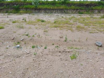 Image of 150 Sq.ft Residential Plot / Land for sale in Miyapur, Hyderabad for Rs. 4500000