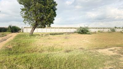 Image of 1800 Sq.ft Residential Plot / Land for sale in Barsana, Mathura for Rs. 2000000