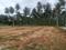 Harmony SLN enclave  Plot View 2