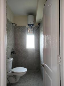 Common Bathroom Image of 1250 Sq.ft 3 BHK Apartment / Flat for sale in Paras Tierea, Sector 137 Noida for Rs. 13200000
