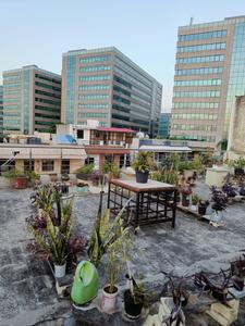Image of 1699 Sq.ft 3 BHK Builder Floor for sale in Sector 21, Gurgaon for Rs. 26000000