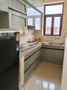 Kitchen Image of 1125 Sq.ft 2 BHK Apartment / Flat for rent in RLF The Park, Kalaka Alwar for Rs. 14000