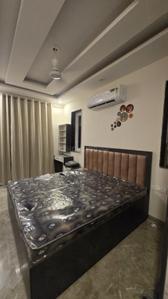 Bedroom Image of 900 Sq.ft 1 BHK Builder Floor for rent in Sector 41 Gurgaon for Rs. 32000