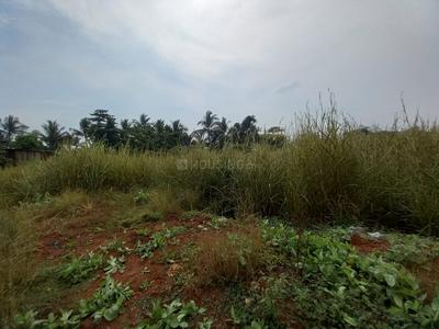 Image of 1089 Sq.ft Residential Plot / Land for sale in Panvel, Navi Mumbai for Rs. 1600000