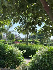 Image of 2750 Sq.ft Residential Plot / Land for sale in Sector 109, Mohali for Rs. 28800000