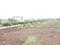 Perne Main Image 1