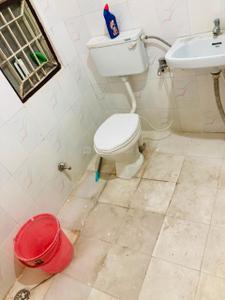 Image of 1250 Sq.ft 3 BHK Duplex for rent in Chuna Bhatti, Bhopal for Rs. 22000