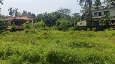 Image of 6534 Sq.ft Residential Plot / Land for sale in Ambagilu, Udupi for Rs. 9750000