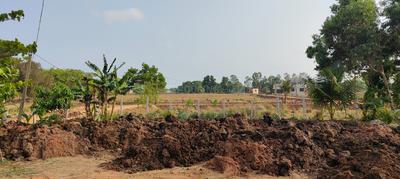 Image of 1000 Sq.ft Residential Plot / Land for sale in Atharanala, Puri for Rs. 900000