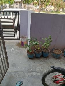 Balcony Image of 680 Sq.ft 2 BHK Duplex for sale in Sector 62 Faridabad for Rs. 5100000