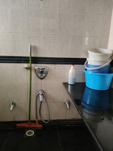 Common Bathroom Image of 1601 Sq.ft 3 BHK Apartment / Flat for rent in Mulund West Mumbai for Rs. 95000