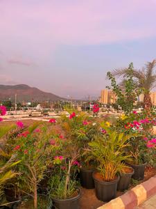 Image of 1162 Sq.ft Residential Plot / Land for sale in Riyasat Royalcrest, Khopoli, Navi Mumbai for Rs. 6975060