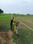 Bihta Plot View 2