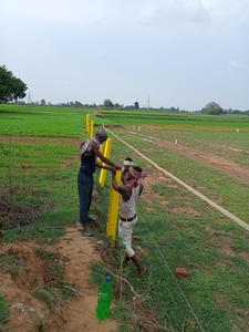 Bihta Plot View 2
