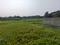 Sonargaon 2 Sonarpur plot project kolkata Plot View 2
