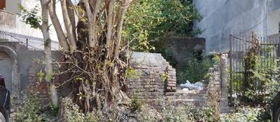 Block D Plot View 3