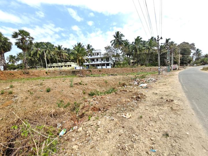 Pallavilai Main Image 1