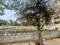 Srikrupa Layout Plot View 2