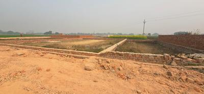 Image of 1211 Sq.ft Residential Plot / Land for sale in Darekhu, Varanasi for Rs. 4238500