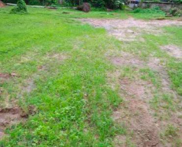 Maradu Plot View 3