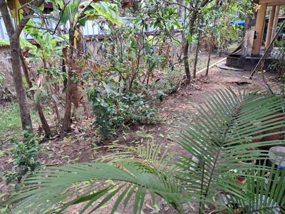Image of 5444 Sq.ft Residential Plot / Land for sale in Maradu, Kochi for Rs. 16250000