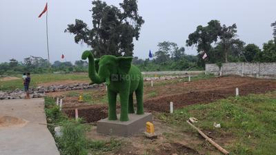 Image of 1200 Sq.ft Residential Plot / Land for sale in Bhuda Colony, Dhanbad for Rs. 1200000