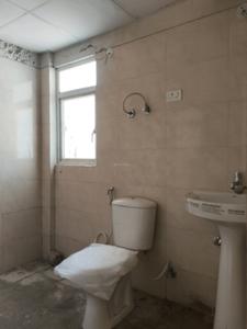 Common Bathroom Image of 1000 Sq.ft 2 BHK Apartment / Flat for sale in Amrapali Verona Heights, Noida Extension Greater Noida for Rs. 7865000