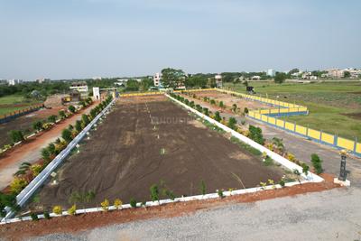 Image of 1818 Sq.ft Residential Plot / Land for sale in Punadipadu, Vijayawada for Rs. 3636000