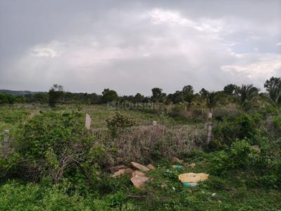 Image of 240000 Sq.ft Residential Plot / Land for sale in Thaluru, Mysore for Rs. 135000000